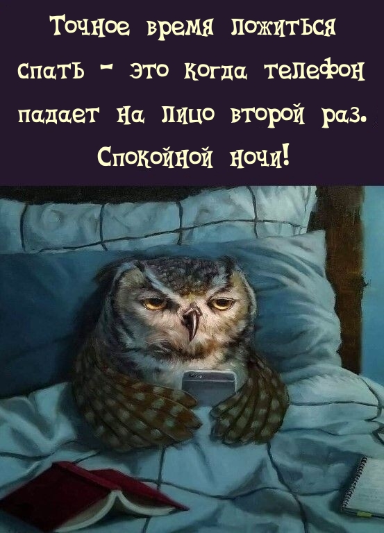 Точное время ложиться спать — это когда телефон падает на лицо