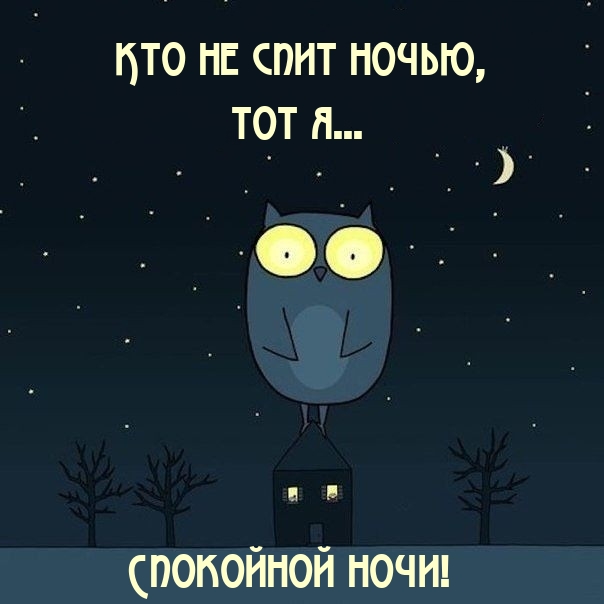 Кто не спит ночью, тот я… Спокойной ночи!