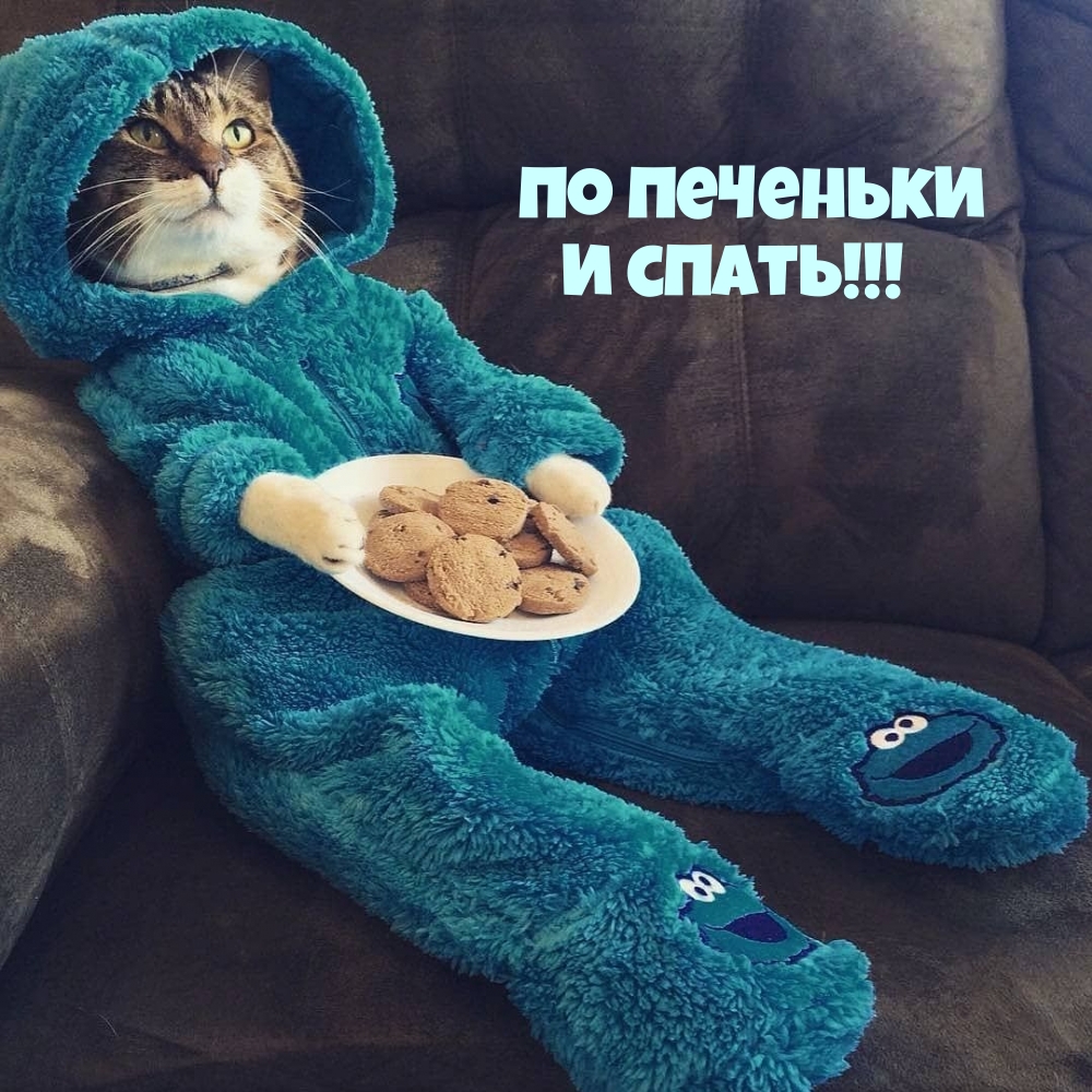 По печеньки и спать!