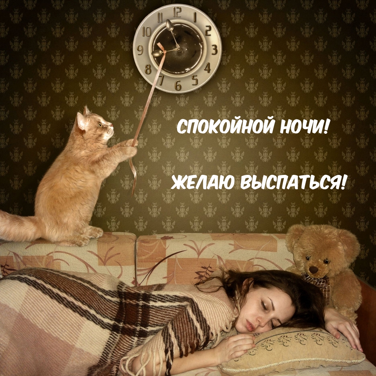 Спокойной ночи! Желаю выспаться!