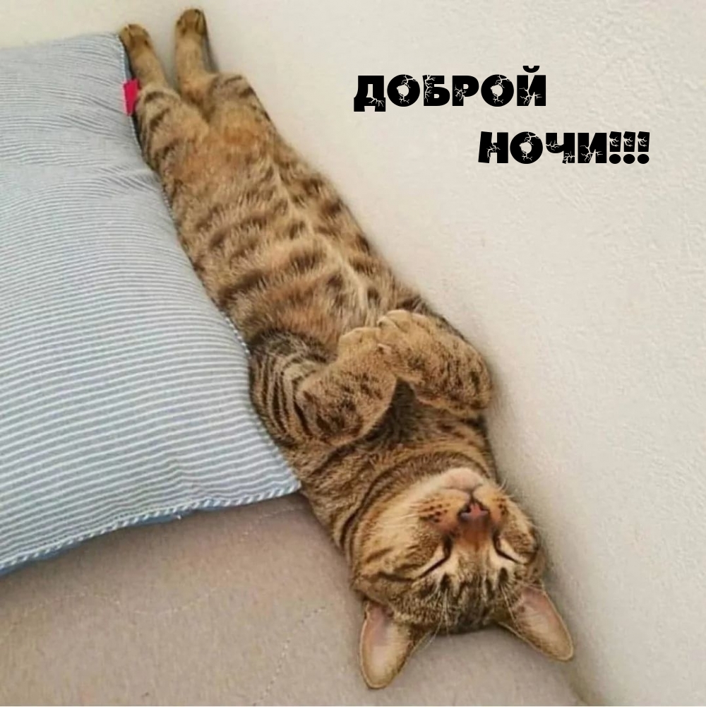 Доброй ночи!