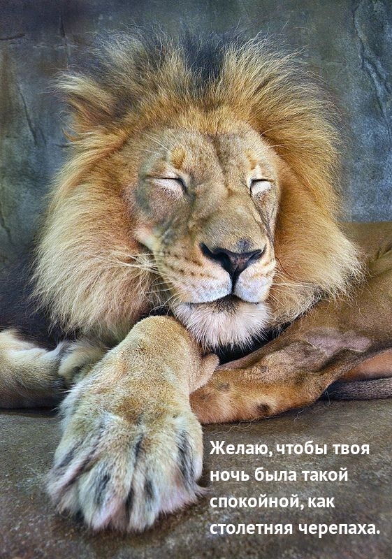 Желаю, чтобы твоя ночь была такой спокойной