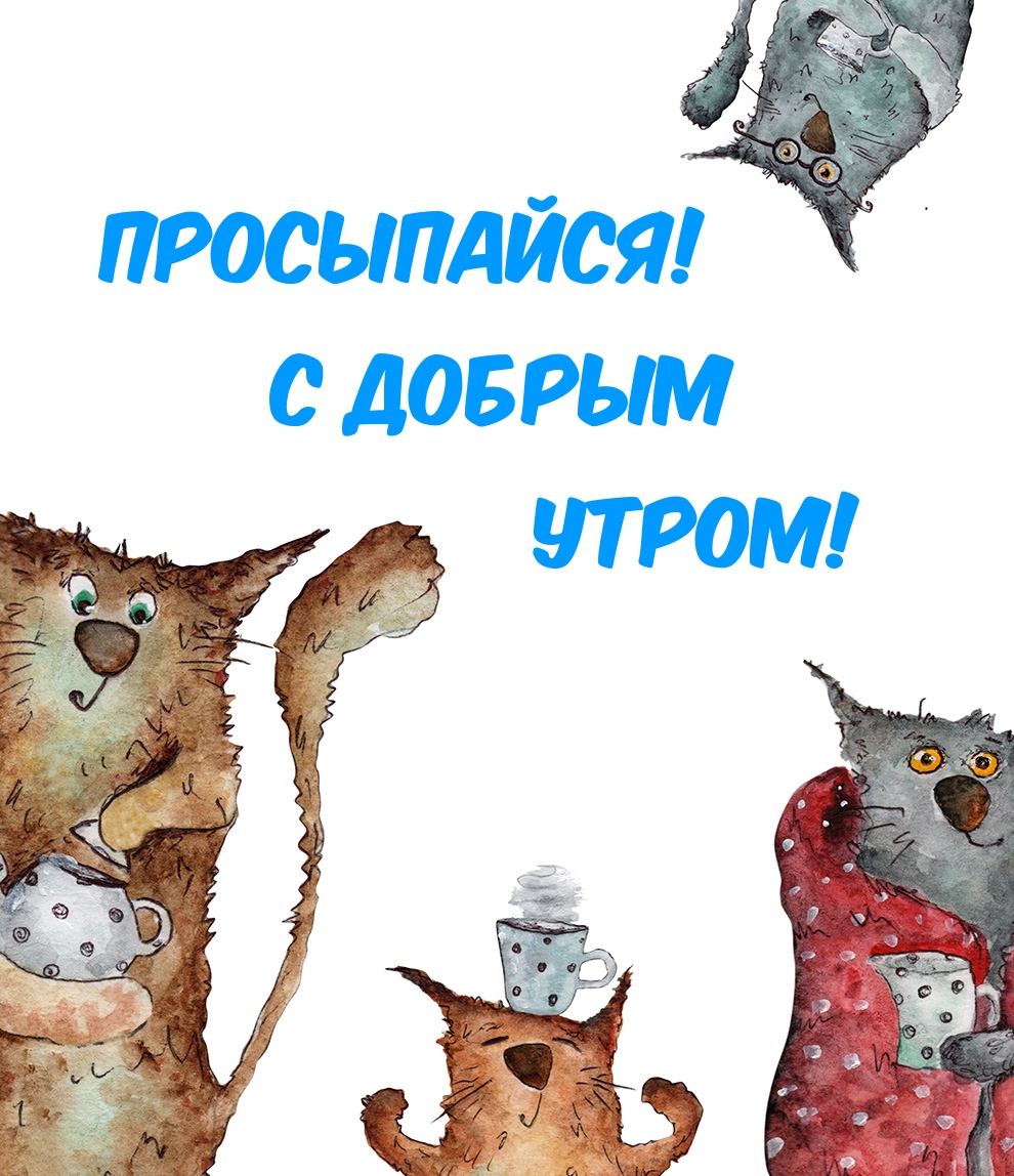 Просыпайся! С добрым утром!