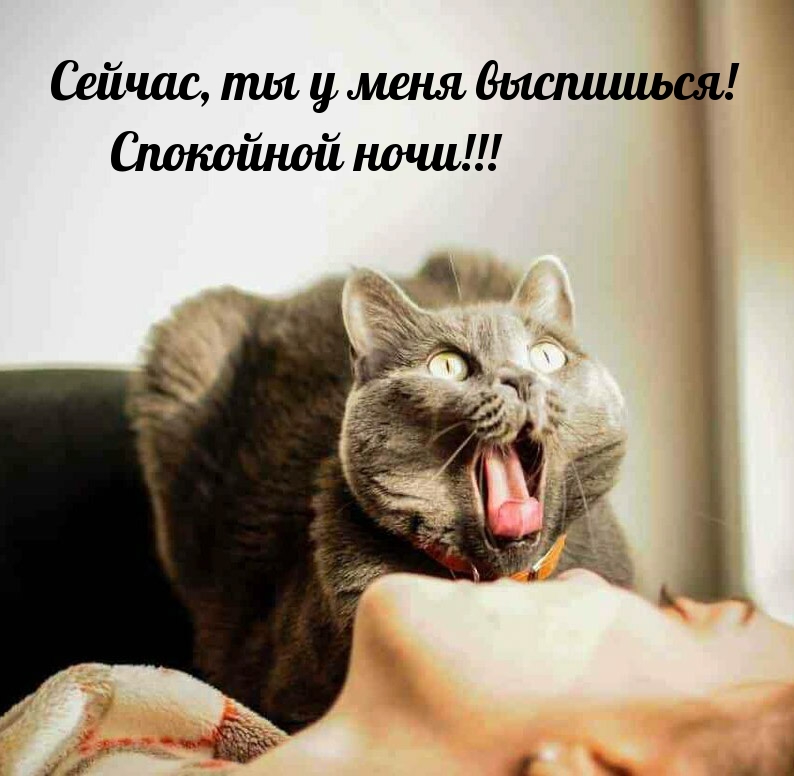 Сейчас, ты у меня выспишься! Спокойной ночи!