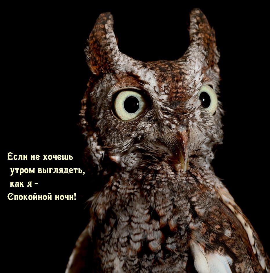 Если не хочешь утром выглядеть, как я — Спокойной ночи!