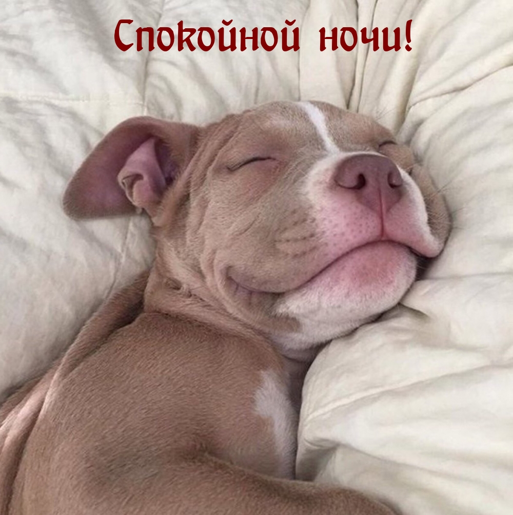 Спокойной ночи!