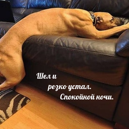 Шел и резко устал. Спокойной ночи.