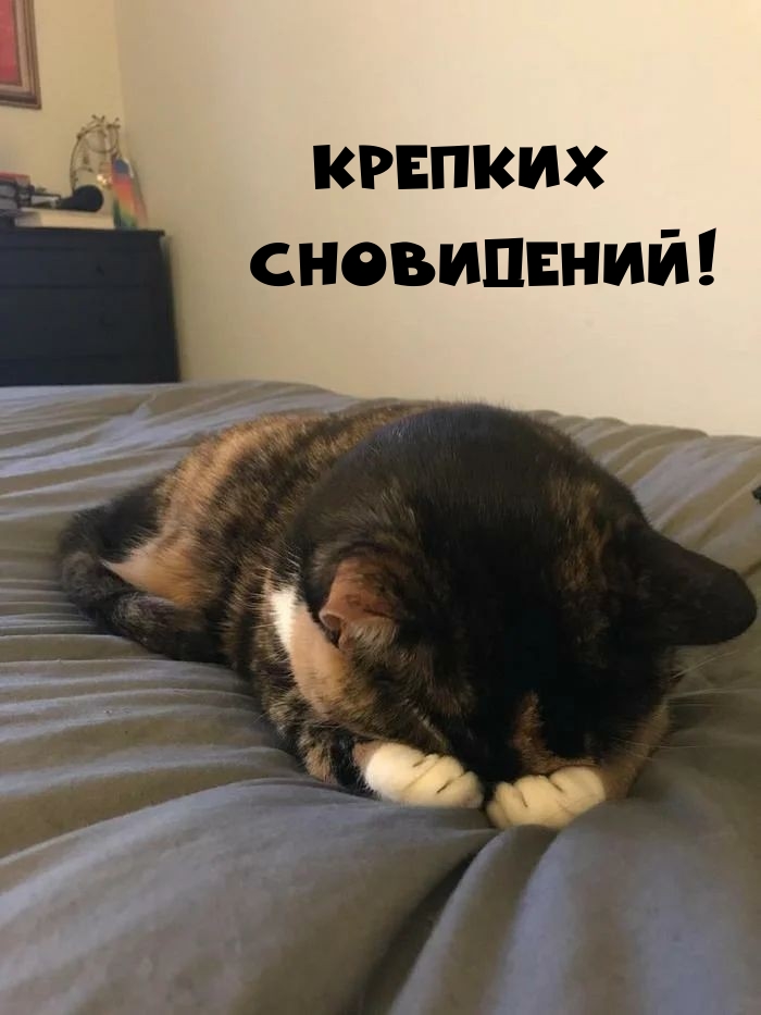 Крепких сновидений!