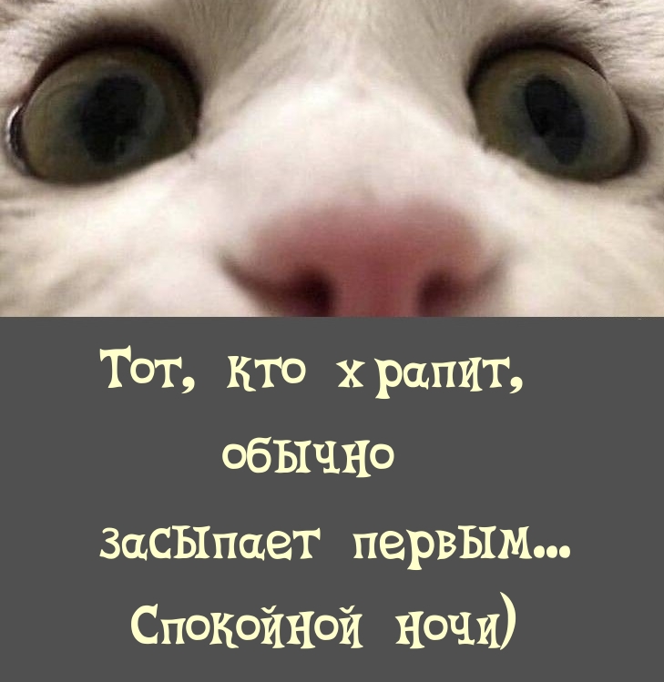 Тот, кто храпит, обычно засыпает первым…