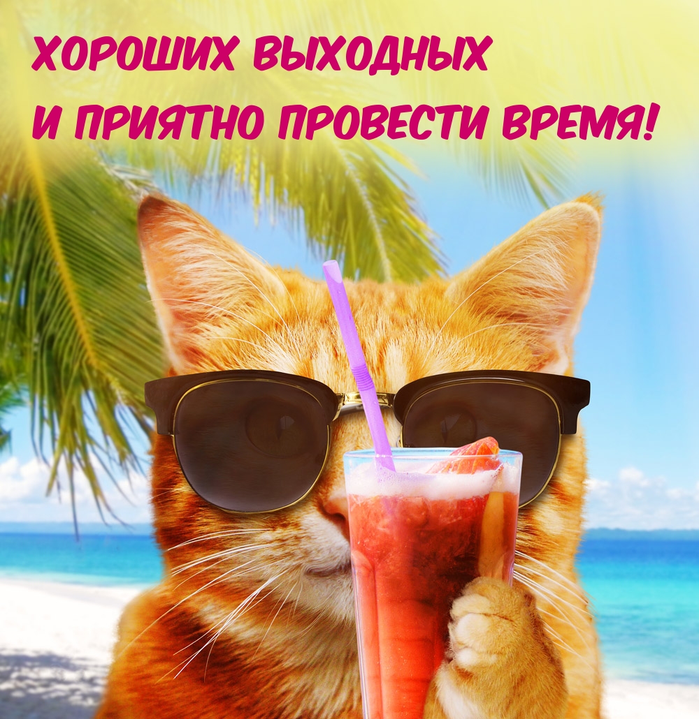 Хороших выходных и приятно провести время!