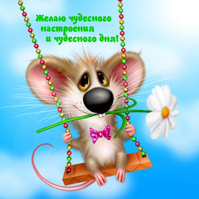 Желаю чудесного настроения и чудесного дня!