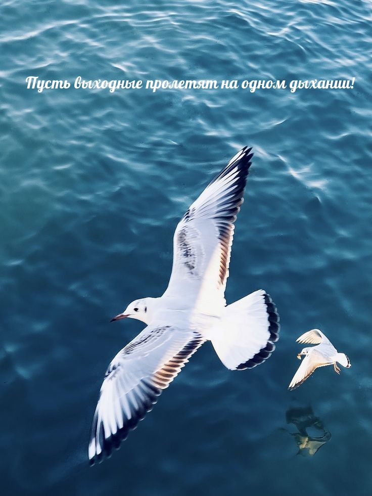 Пусть выходные пролетят на одном дыхании!