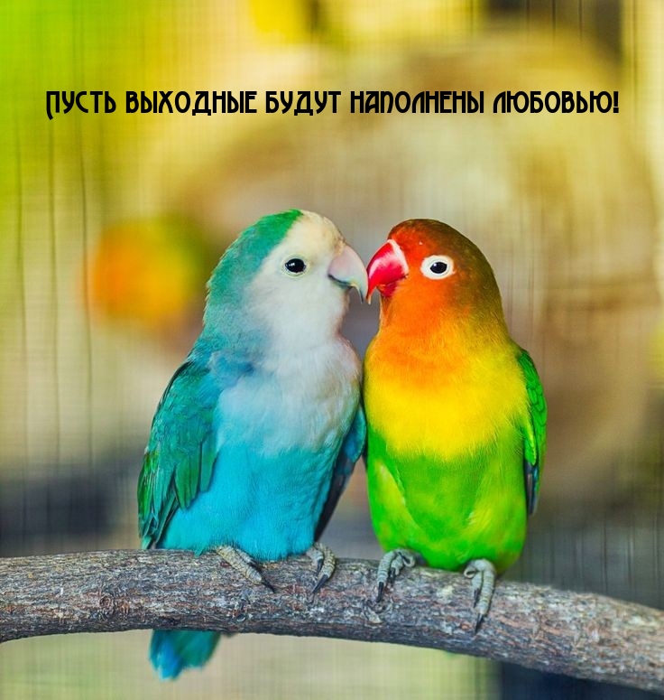 Пусть выходные будут наполнены любовью!