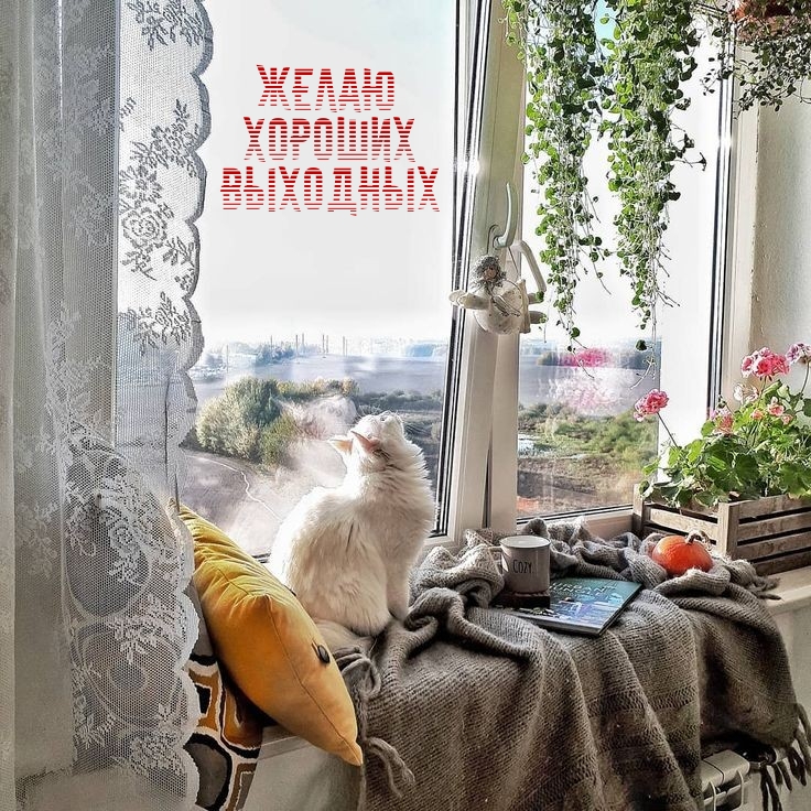 Желаю Хороших выходных