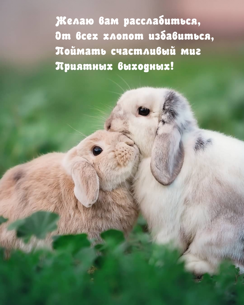 Поймать счастливый миг — Приятных выходных!