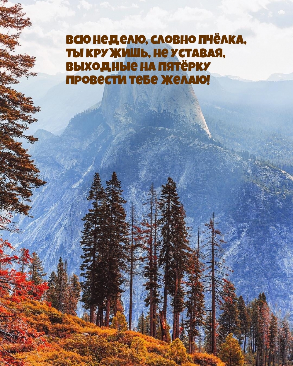 Выходные на пятёрку провести тебе желаю!