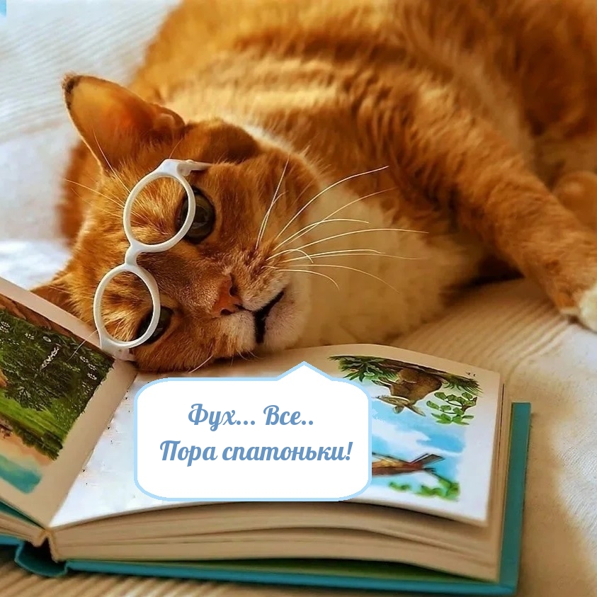 Фух… Все.. Пора спатоньки!