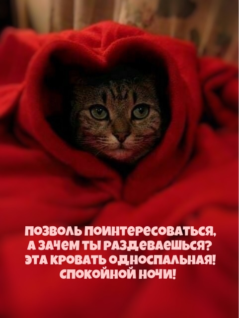 Эта кровать односпальная! Спокойной ночи!