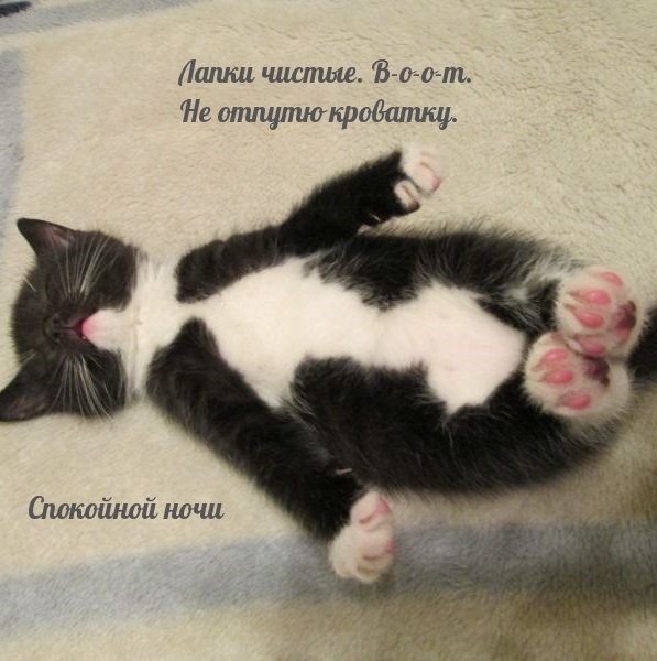 Лапки чистые. В-о-о-т. Не отпутю кроватку. Спокойной ночи
