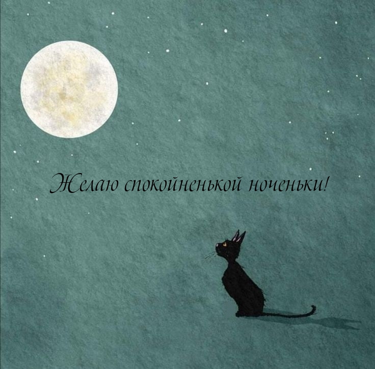 Желаю спокойненькой ноченьки!