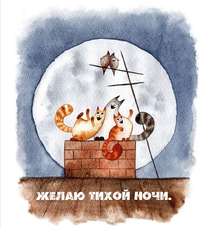 Желаю тихой ночи.