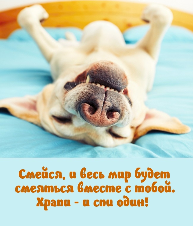 Смейся, и весь мир будет смеяться вместе с тобой.