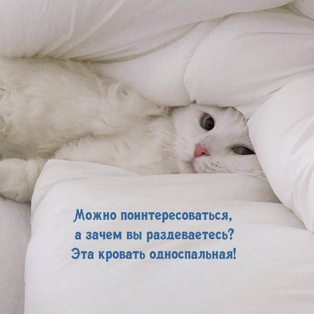 Зачем вы раздеваетесь? Эта кровать односпальная!