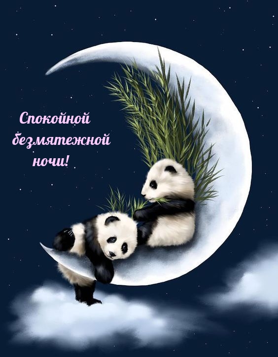 Спокойной безмятежной ночи!
