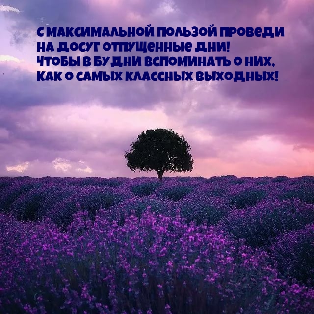 С максимальной пользой проведи на досуг отпущенные дни