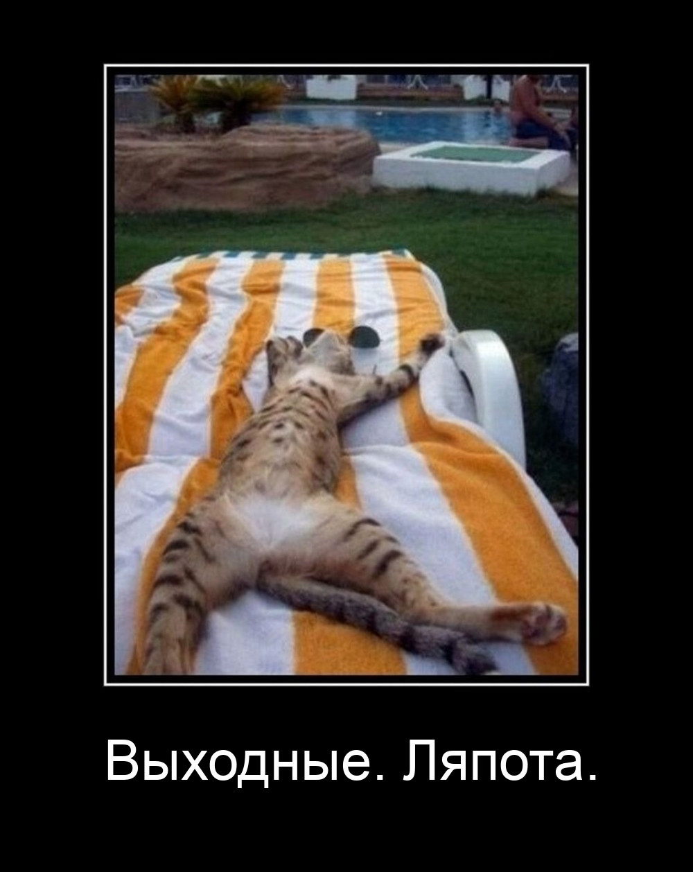 Выходные. Ляпота.