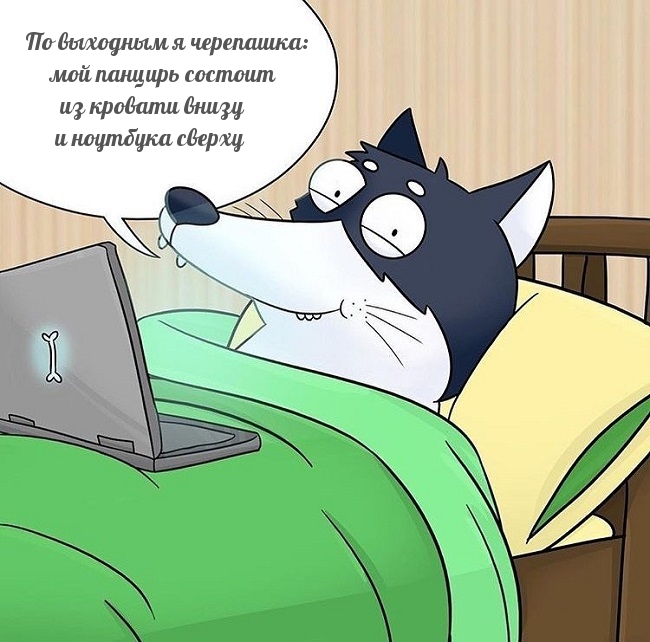 По выходным я черепашка: мой панцирь состоит