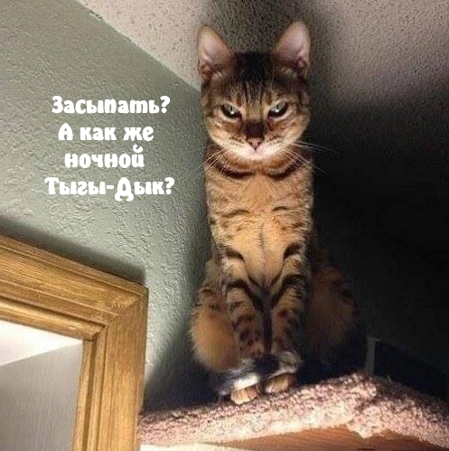 Засыпать? А как же ночной Тыгы-Дык?