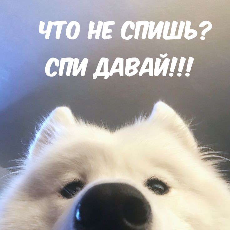 Что не спишь? Спи давай!