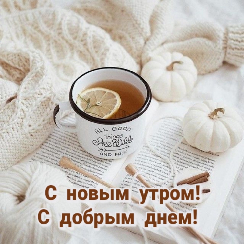 С новым утром! С добрым днем!