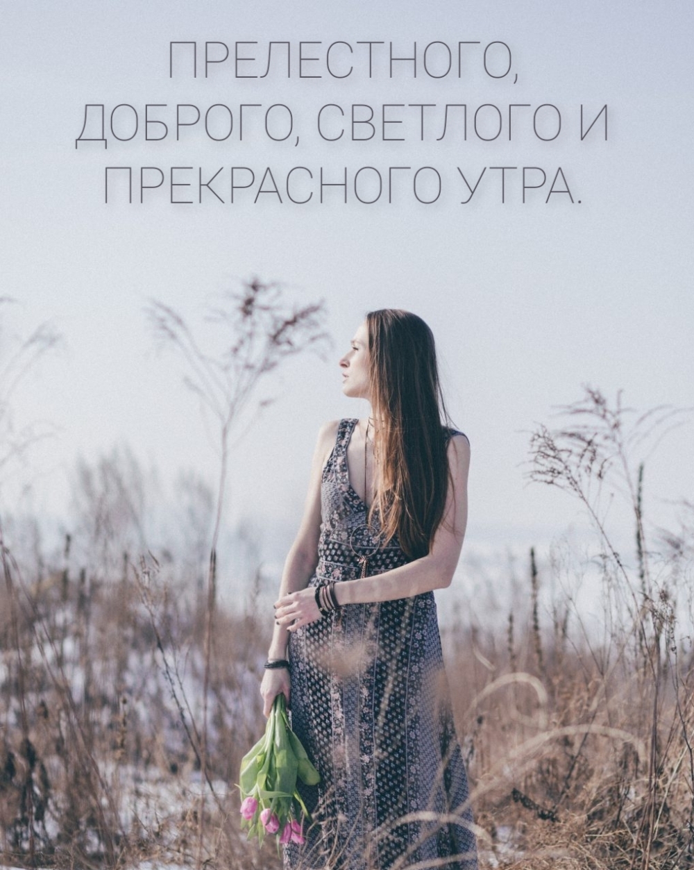 ПРЕЛЕСТНОГО, ДОБРОГО, СВЕТЛОГО И ПРЕКРАСНОГО УТРА.