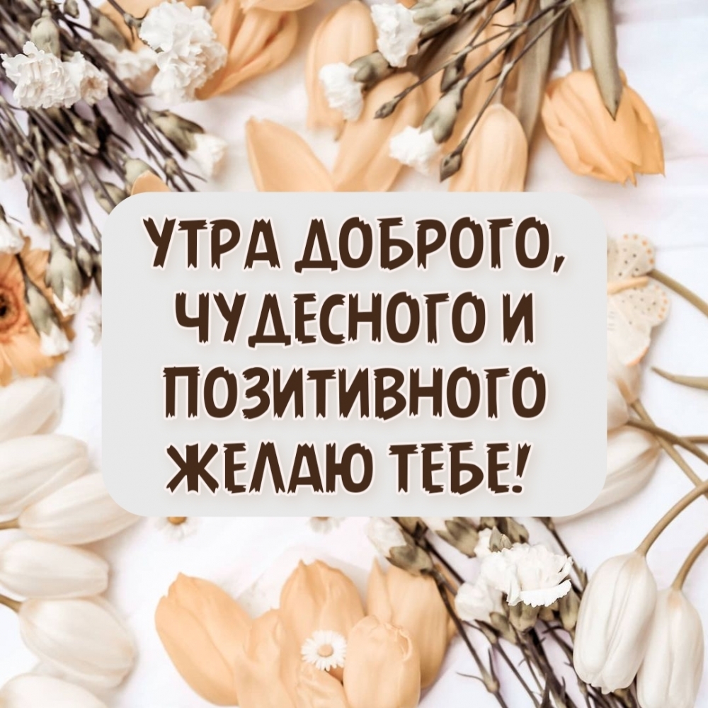 УТРА ДОБРОГО, ЧУДЕСНОГО И ПОЗИТИВНОГО ЖЕЛАЮ ТЕБЕ!