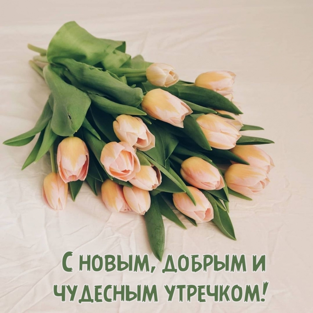 С новым, добрым и чудесным утречком!