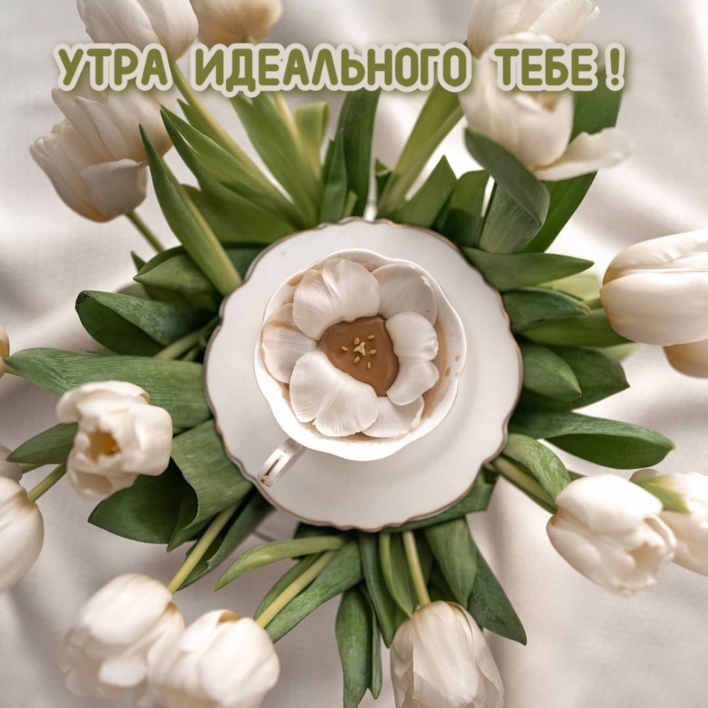 УТРА ИДЕАЛЬНОГО ТЕБЕ!