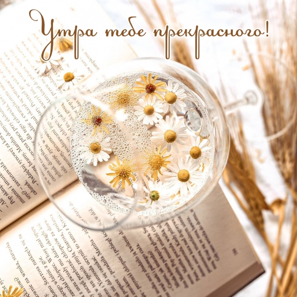 Утра тебе прекрасного!