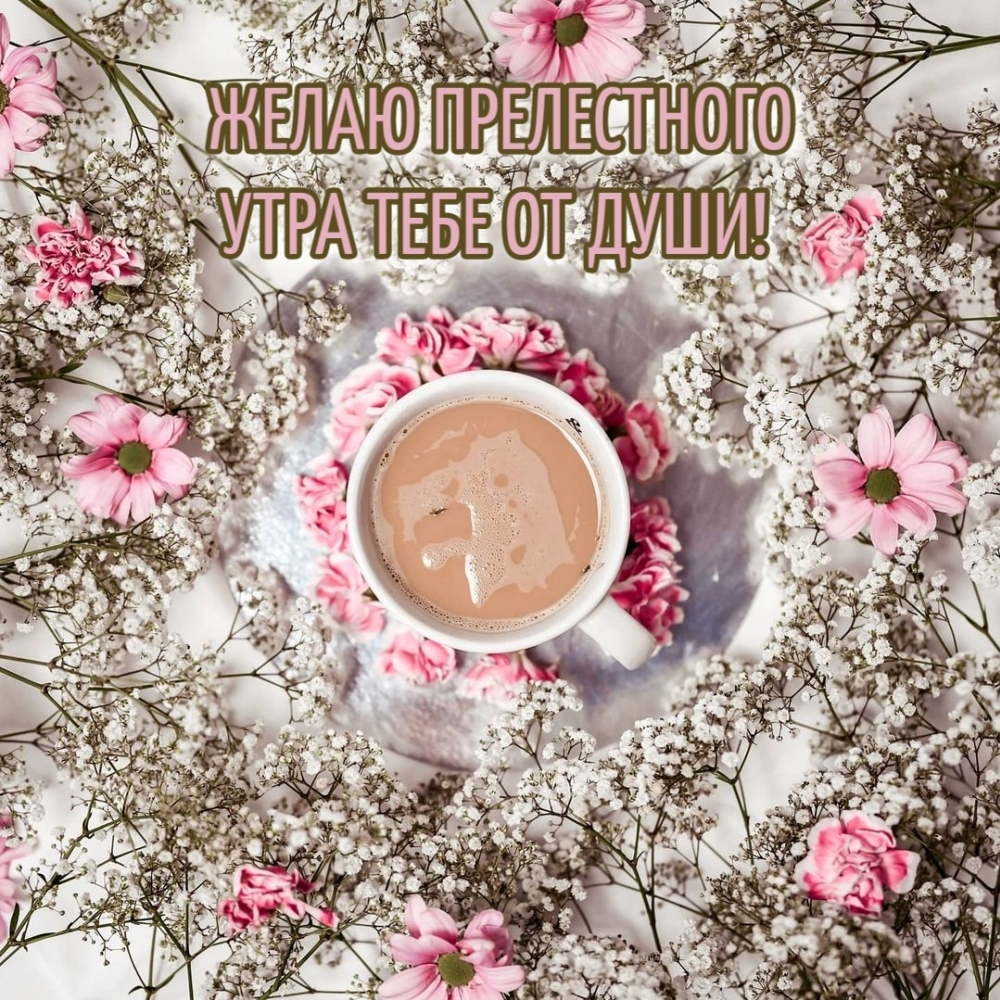 ЖЕЛАЮ ПРЕЛЕСТНОГО УТРА ТЕБЕ ОТ ДУШИ!