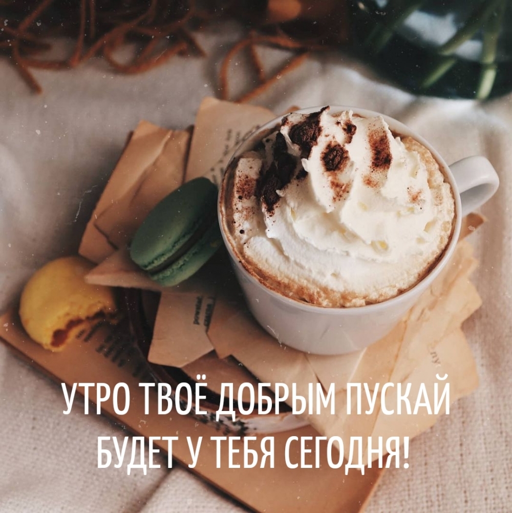 УТРО ТВОЁ ДОБРЫМ ПУСКАЙ БУДЕТ У ТЕБЯ СЕГОДНЯ!