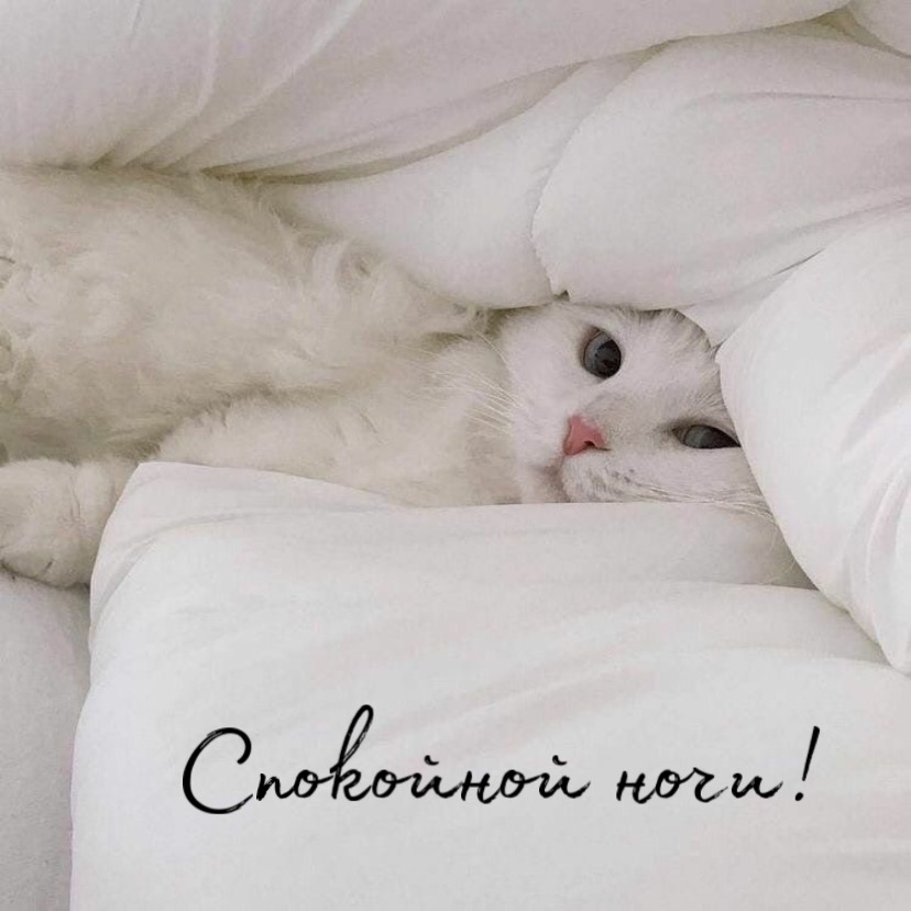 Спокойной ночи!