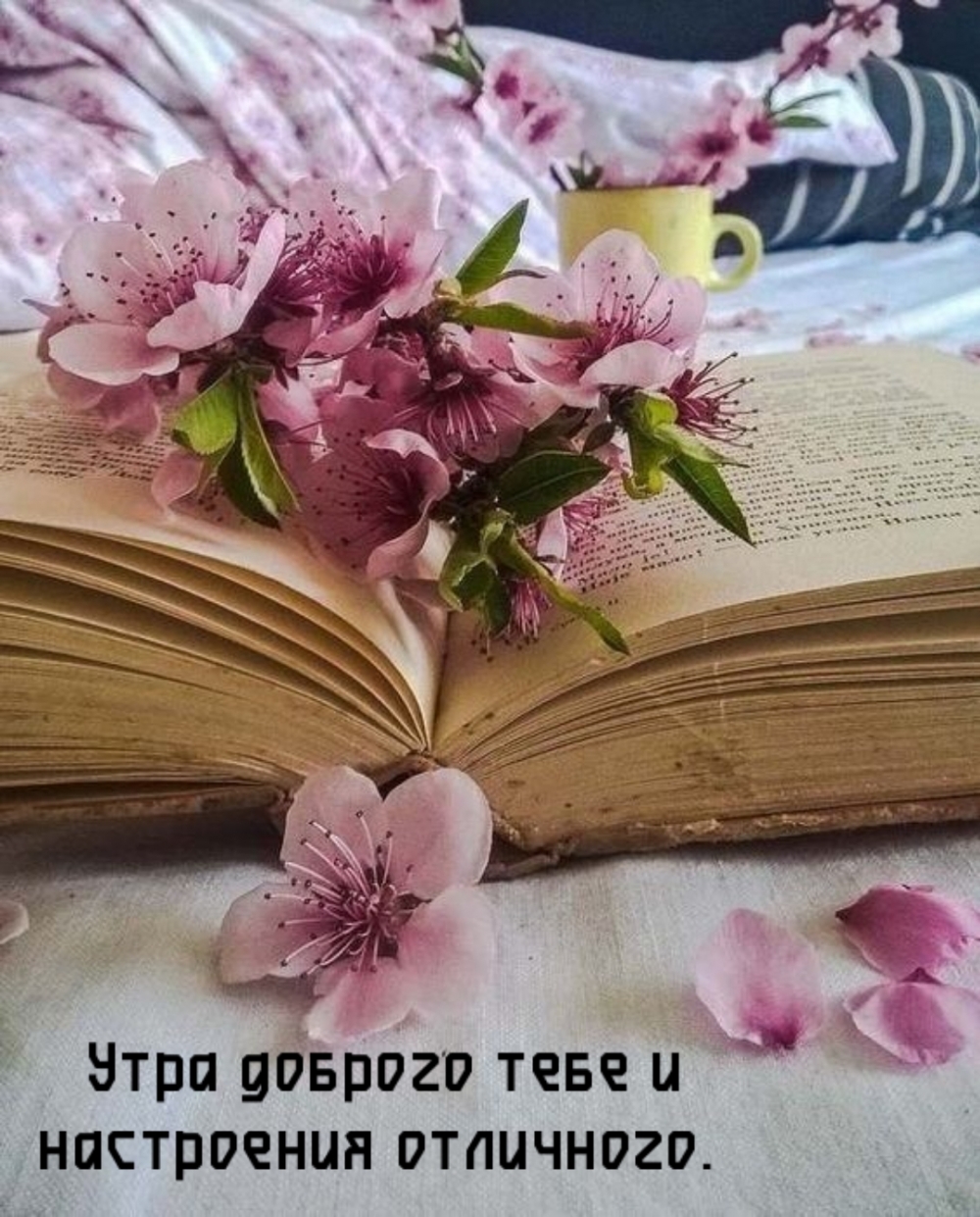 Утра доброго тебе и настроения отличного.