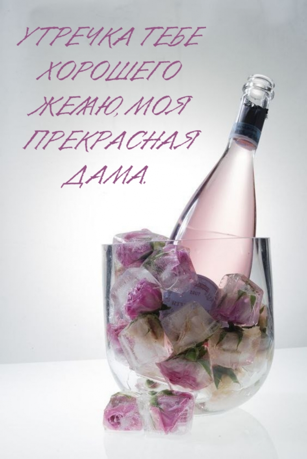 УТРЕЧКА ТЕБЕ ХОРОШЕГО ЖЕЛАЮ, МОЯ ПРЕКРАСНАЯ ДАМА.