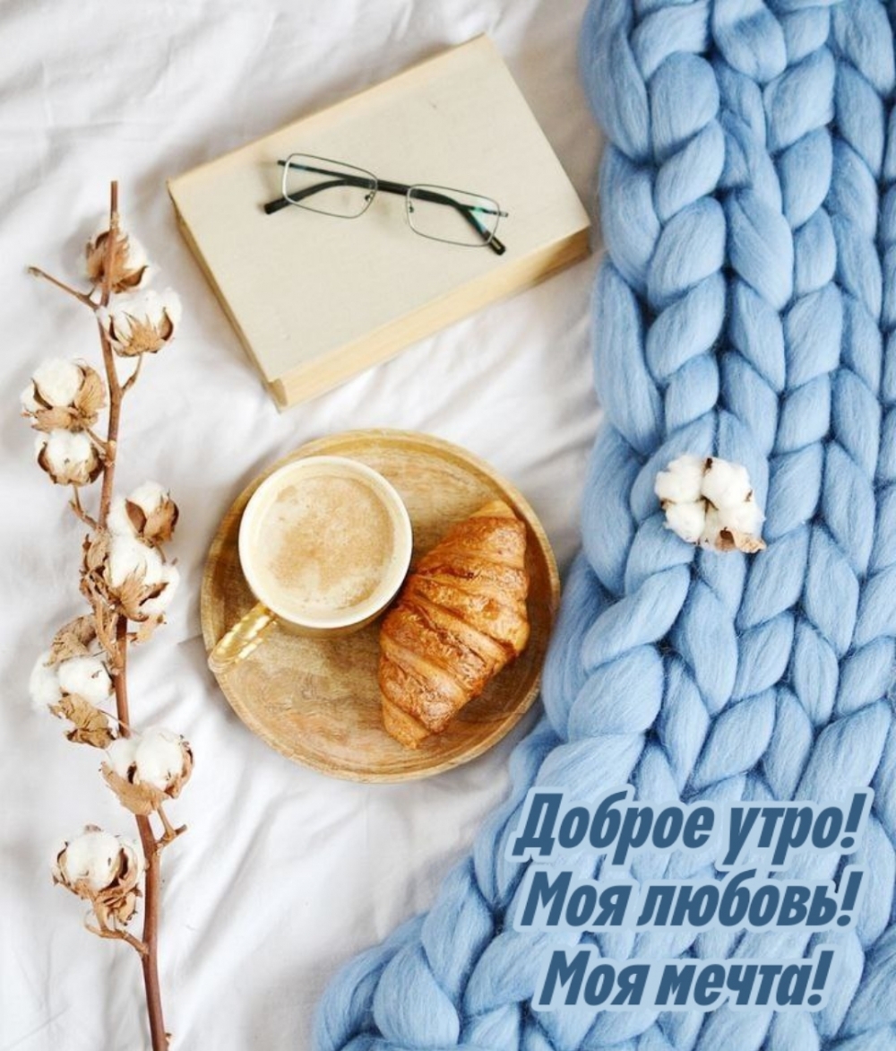 Доброе утро! Моя любовь! Моя мечта!
