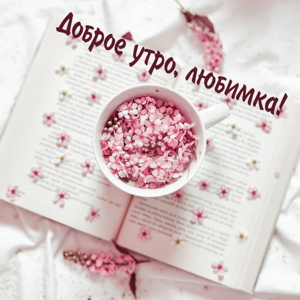 Доброе утро, любимка!