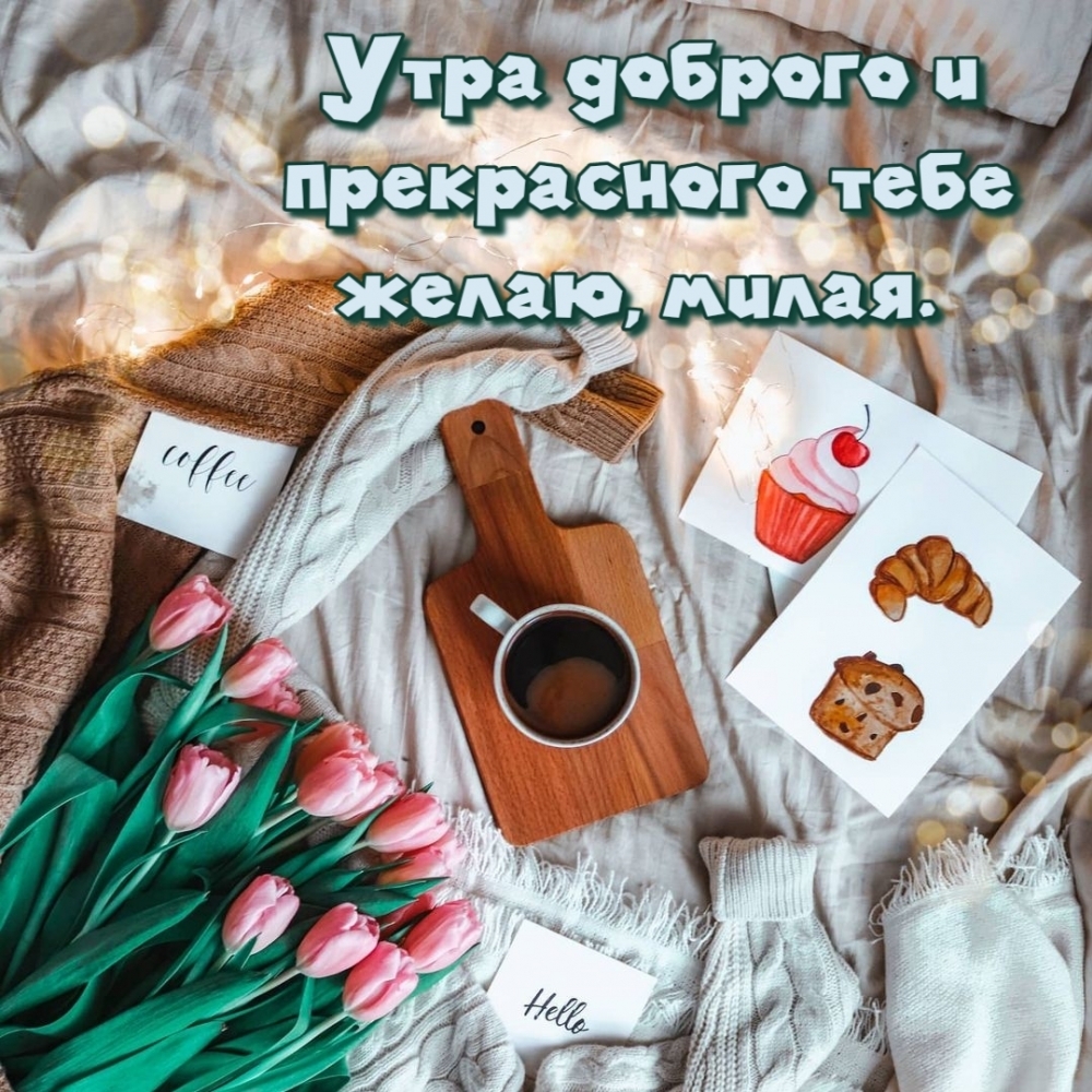 Утра доброго и прекрасного тебе желаю, милая.
