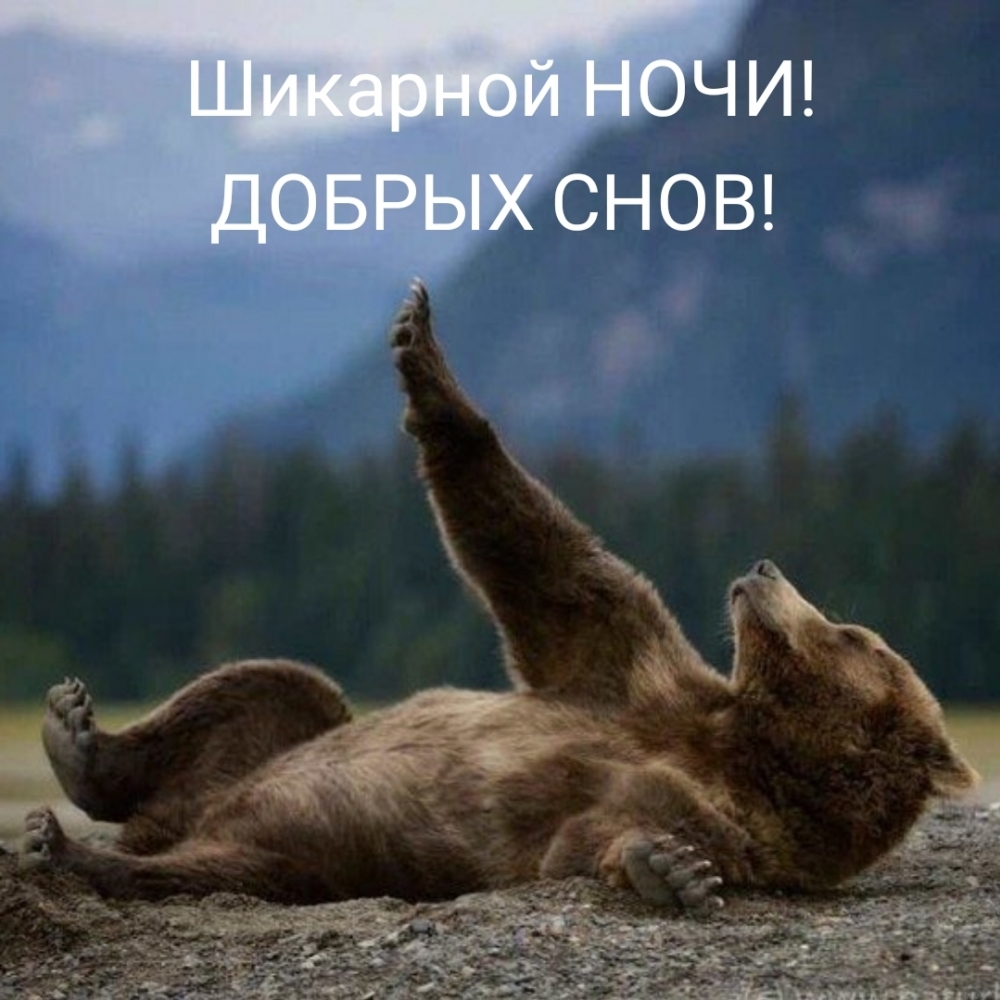 Шикарной НОЧИ! ДОБРЫХ СНОВ!