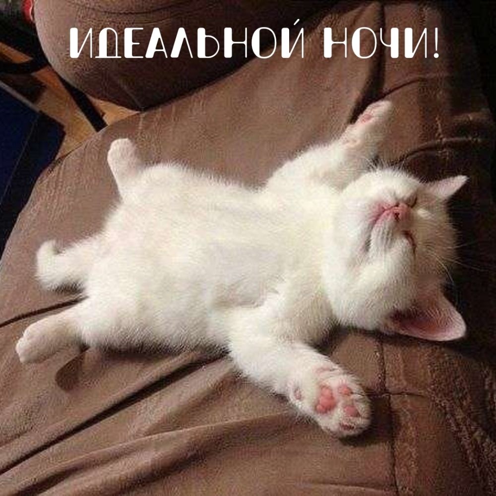 Идеальной ночи!