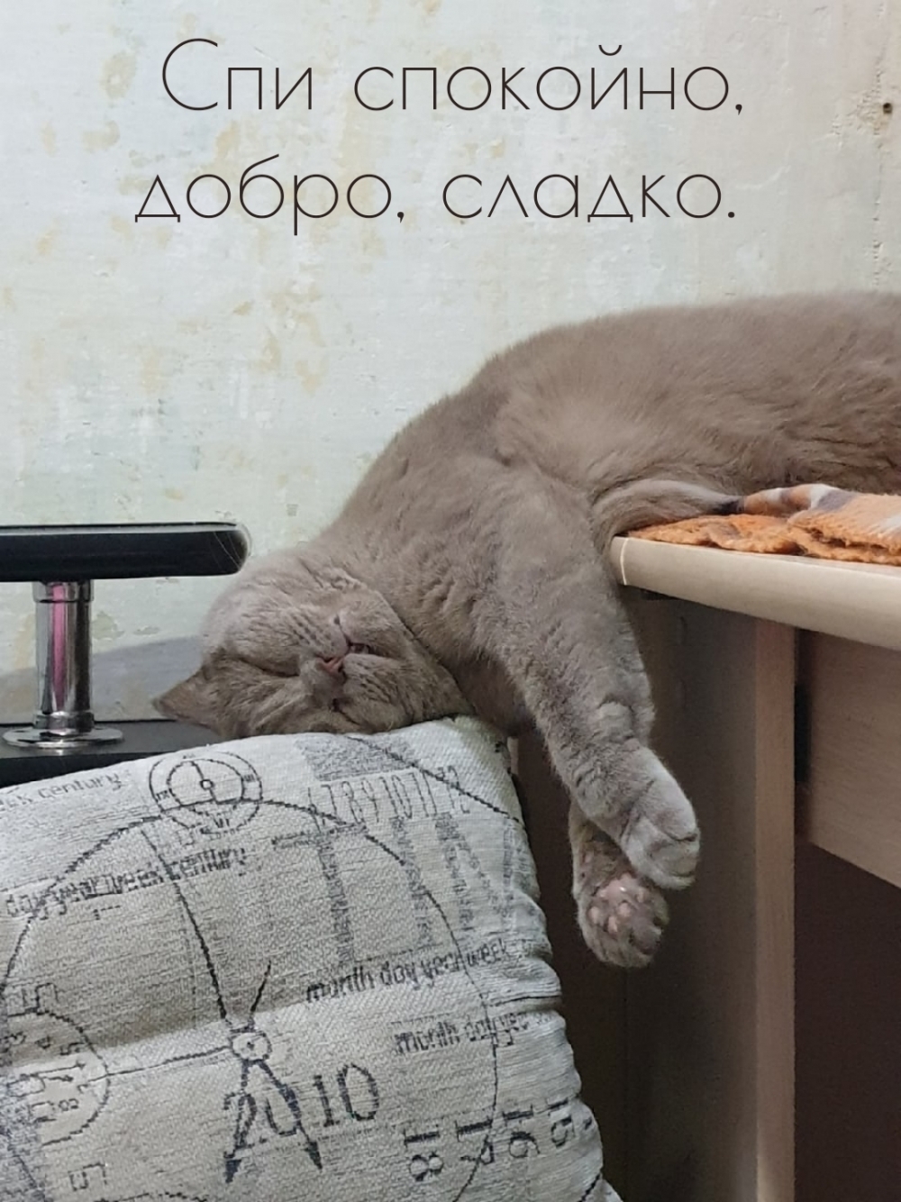 Спи спокойно, добро, сладко.
